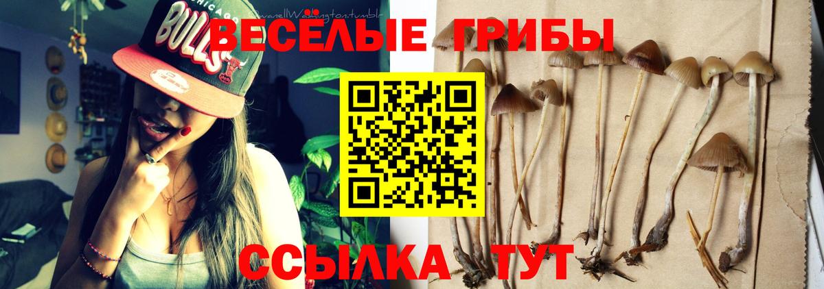 Симферополь  Псилоцибиновые грибы MAGIC MUSHROOMS  Вход с VPN  Псилоцибиновые грибы прущие грибы 